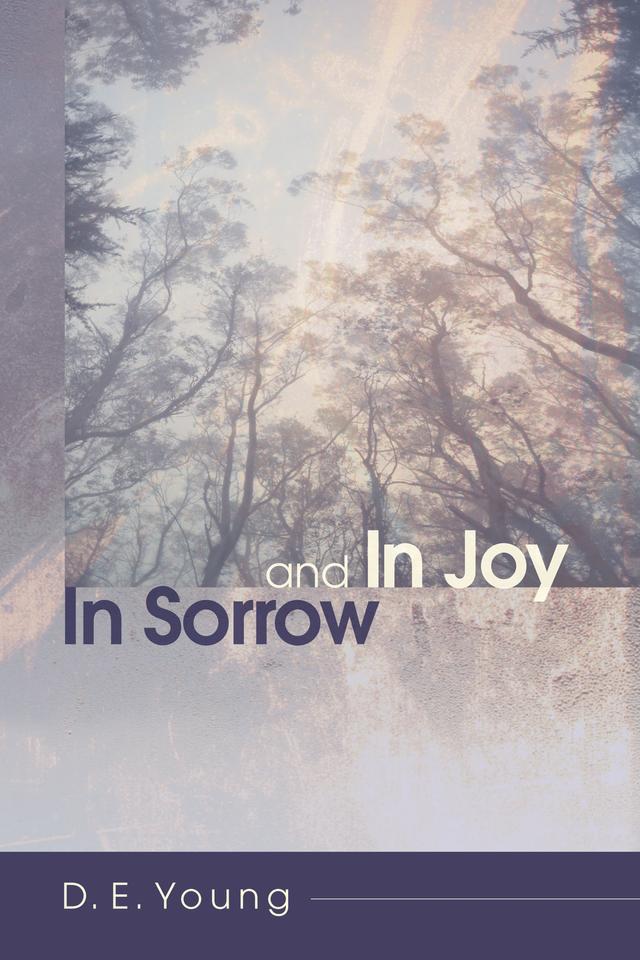 In Sorrow and In Joy by D. E. Young