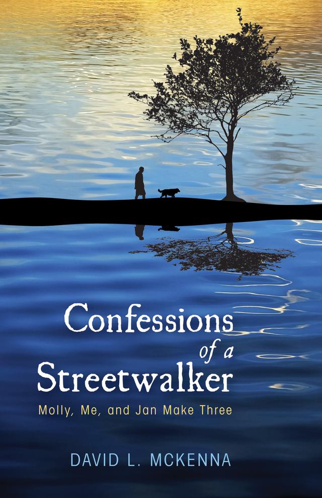 Confessions of a Streetwalker by David L. McKenna