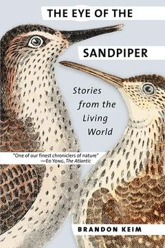 The Eye of the Sandpiper by Brandon Keim