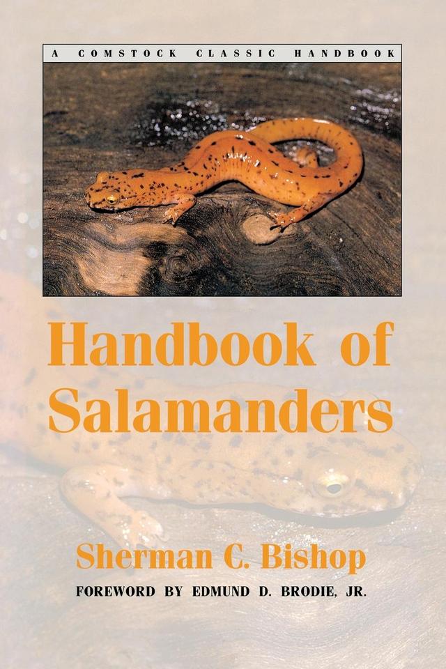 Handbook of Salamanders by Edmund D. Brodie, Sherman C. Bishop