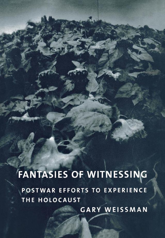 Fantasies of Witnessing by Gary Weissman