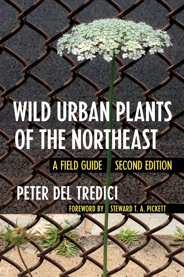 Wild Urban Plants of the Northeast by Peter Del Tredici, Steward T. A. Pickett