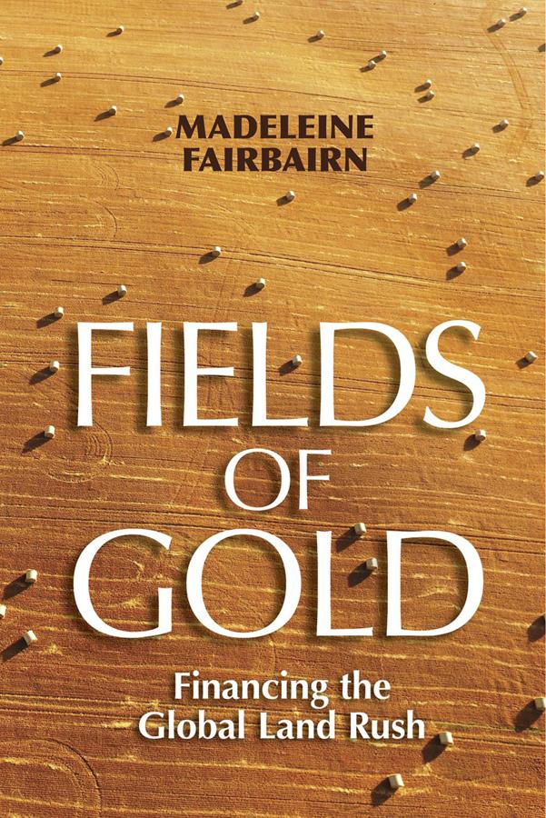 Fields of Gold by Madeleine Fairbairn