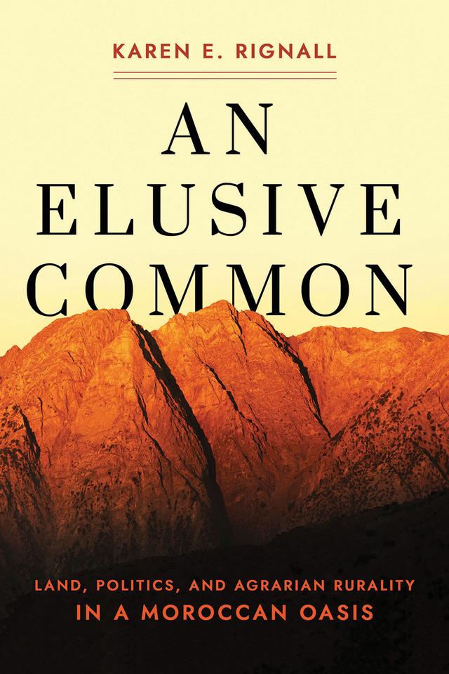 An Elusive Common by Karen E. Rignall