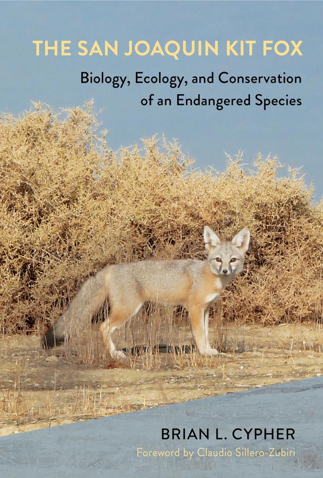 The San Joaquin Kit Fox by Brian L. Cypher, Claudio Sillero-Zubiri