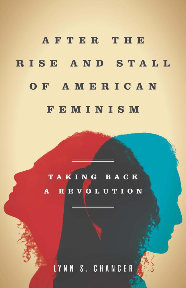 After the Rise and Stall of American Feminism by Lynn S. Chancer