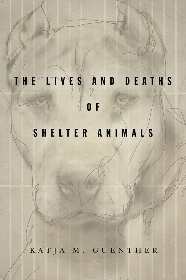 The Lives and Deaths of Shelter Animals by Katja M. Guenther