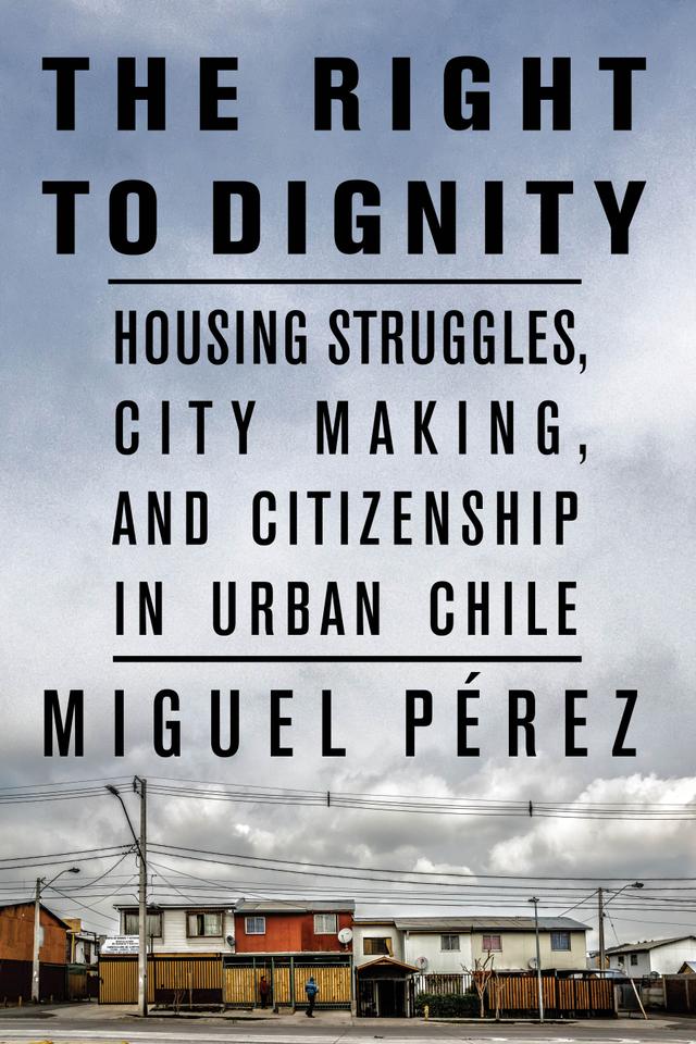 The Right to Dignity by Miguel Pérez