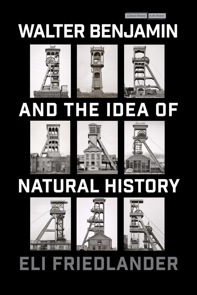 Walter Benjamin and the Idea of Natural History by Eli Friedlander