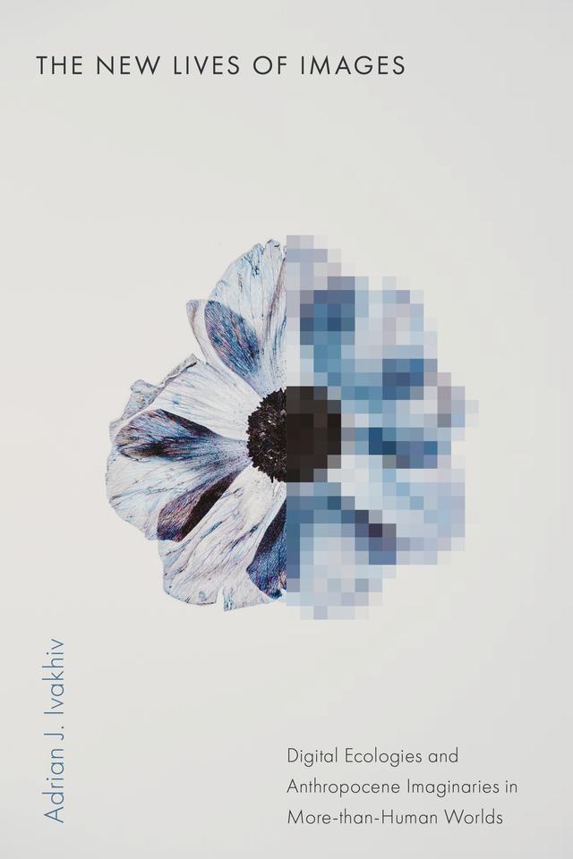 The New Lives of Images by Adrian J. Ivakhiv