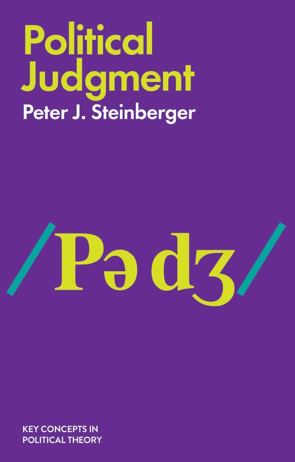 Political Judgment by Peter J. Steinberger