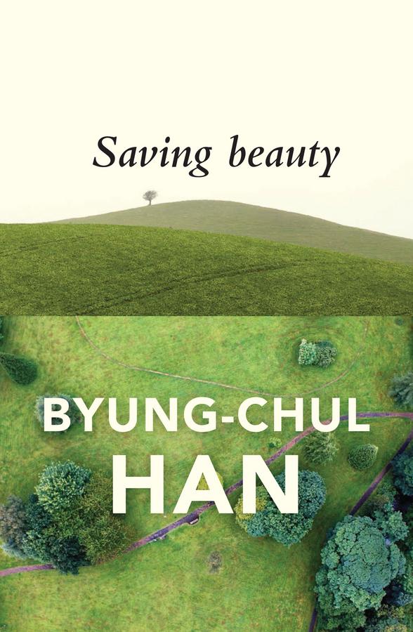 Saving Beauty by Byung-Chul Han, Daniel Steuer
