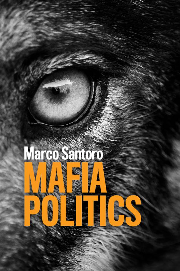 Mafia Politics by Marco Santoro