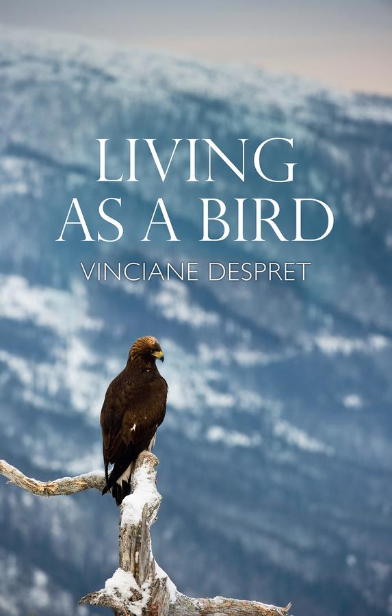 Living as a Bird by Helen Morrison, Vinciane Despret
