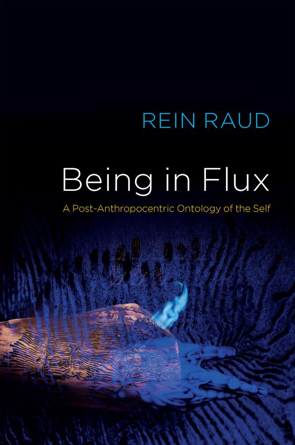 Being in Flux by Rein Raud