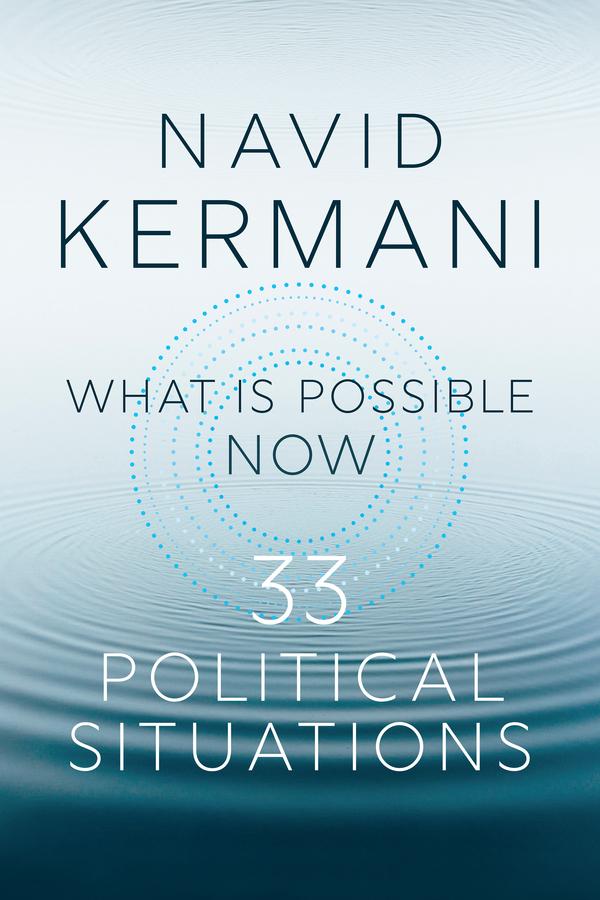 What is Possible Now by Navid Kermani, Tony Crawford