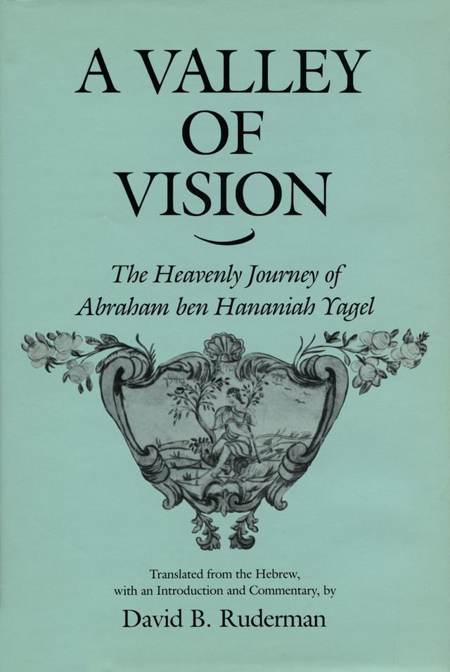 A Valley of Vision by David B. Ruderman