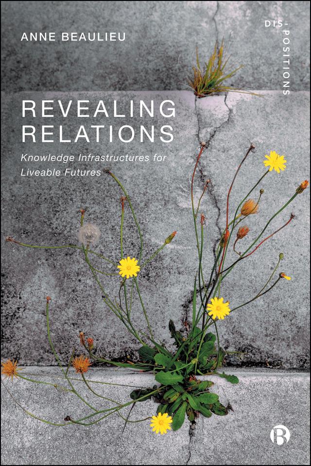 Revealing Relations by Anne  Beaulieu