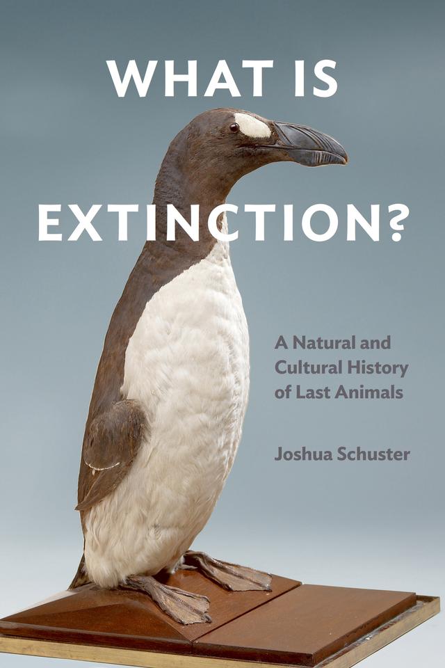 What Is Extinction? by Joshua Schuster