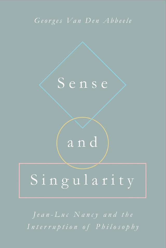 Sense and Singularity by Georges Van Den Abbeele