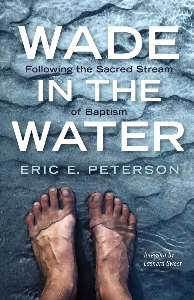 Wade in the Water by Eric E. Peterson, Leonard Sweet