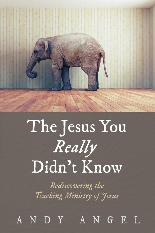 The Jesus You Really Didn’t Know by Andy Angel
