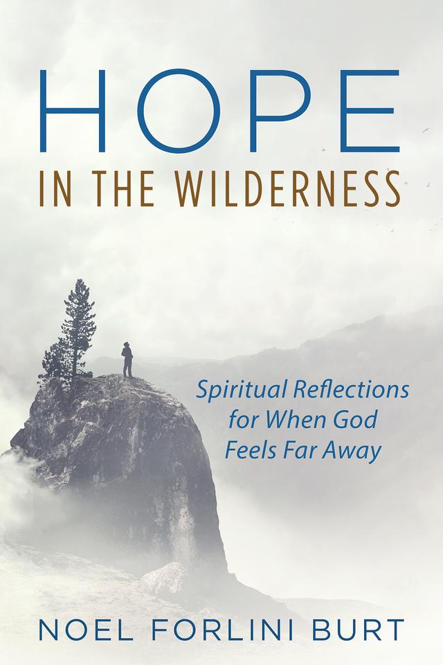 Hope in the Wilderness by Jerry Sittser, Noel Forlini Burt