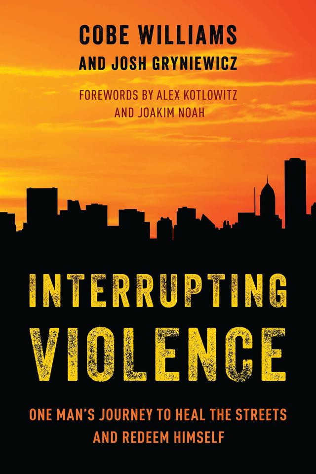 Interrupting Violence by 