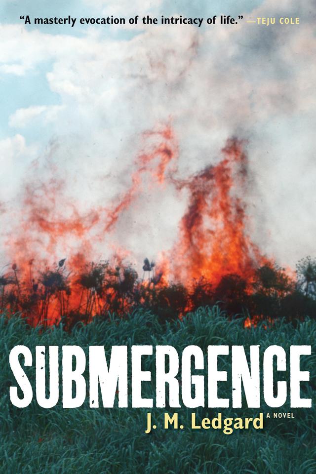 Submergence by J. M. Ledgard