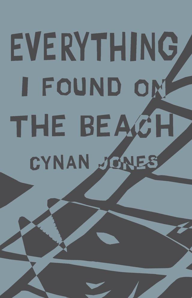 Everything I Found on the Beach by Cynan Jones