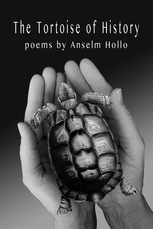 The Tortoise of History by Anselm Hollo