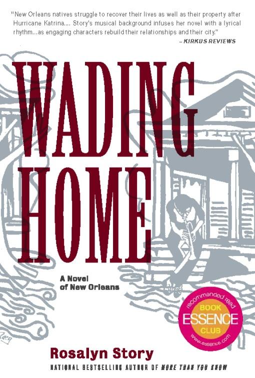 Wading Home by Rosalyn Story