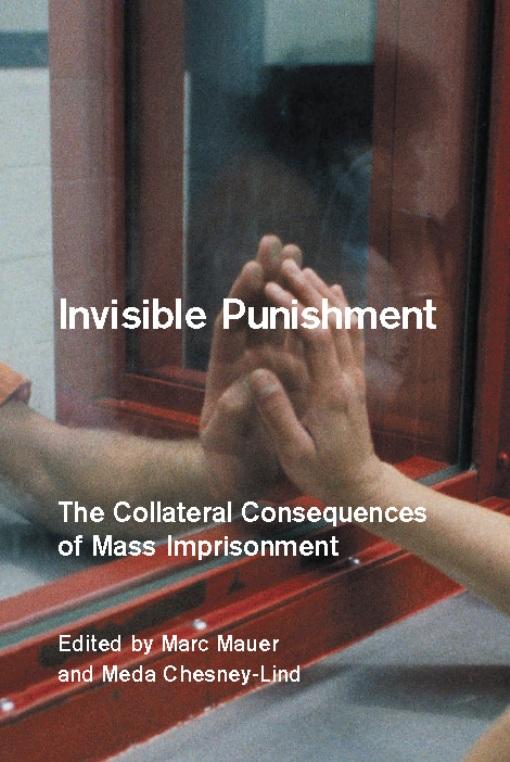 Invisible Punishment by Marc Mauer, Meda Chesney-Lind
