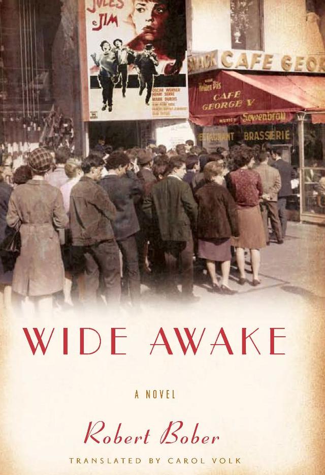 Wide Awake by Carol Volk, Robert Bober