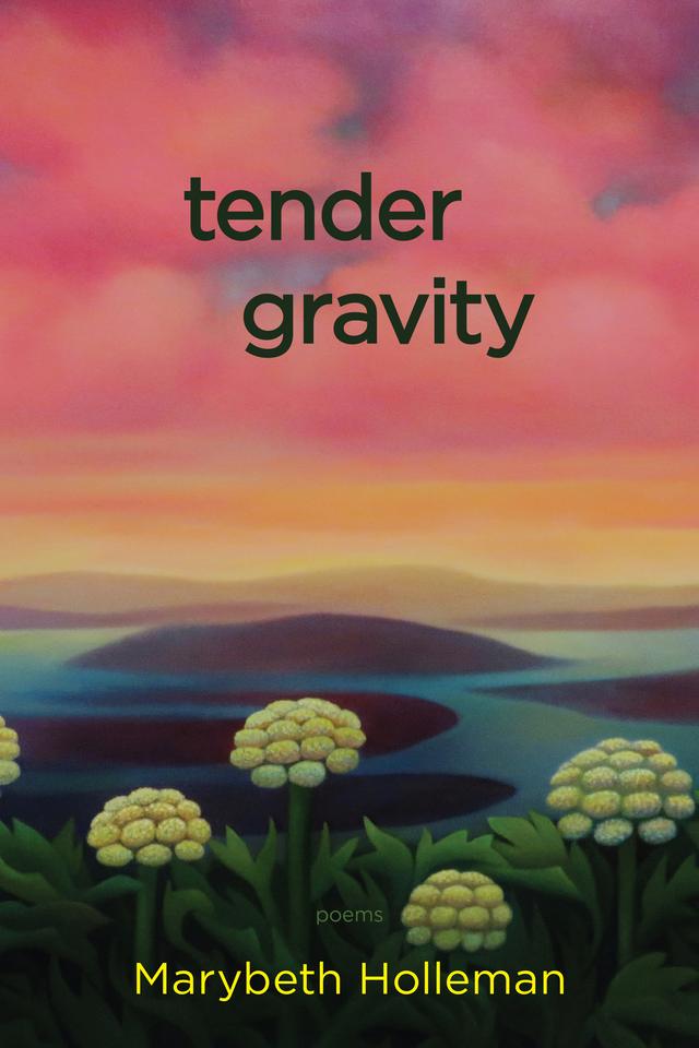 tender gravity by Marybeth Holleman
