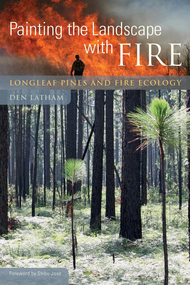 Painting the Landscape with Fire by Den Latham, Shibu Jose