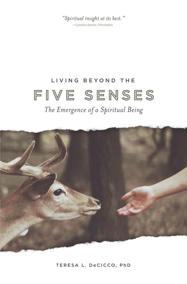 Living Beyond the Five Senses by Teresa L. DeCicco Ph.D.