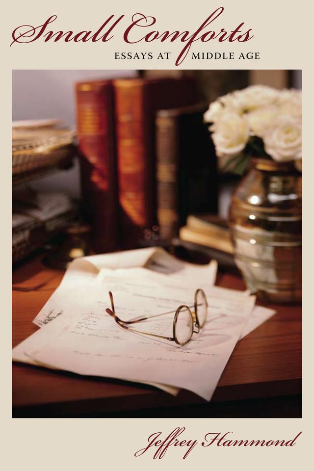 Small Comforts by Jeffrey Hammond