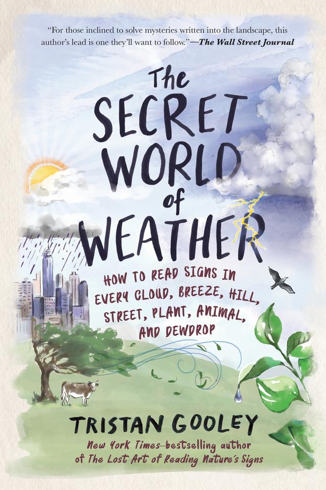 The Secret World of Weather by Tristan Gooley
