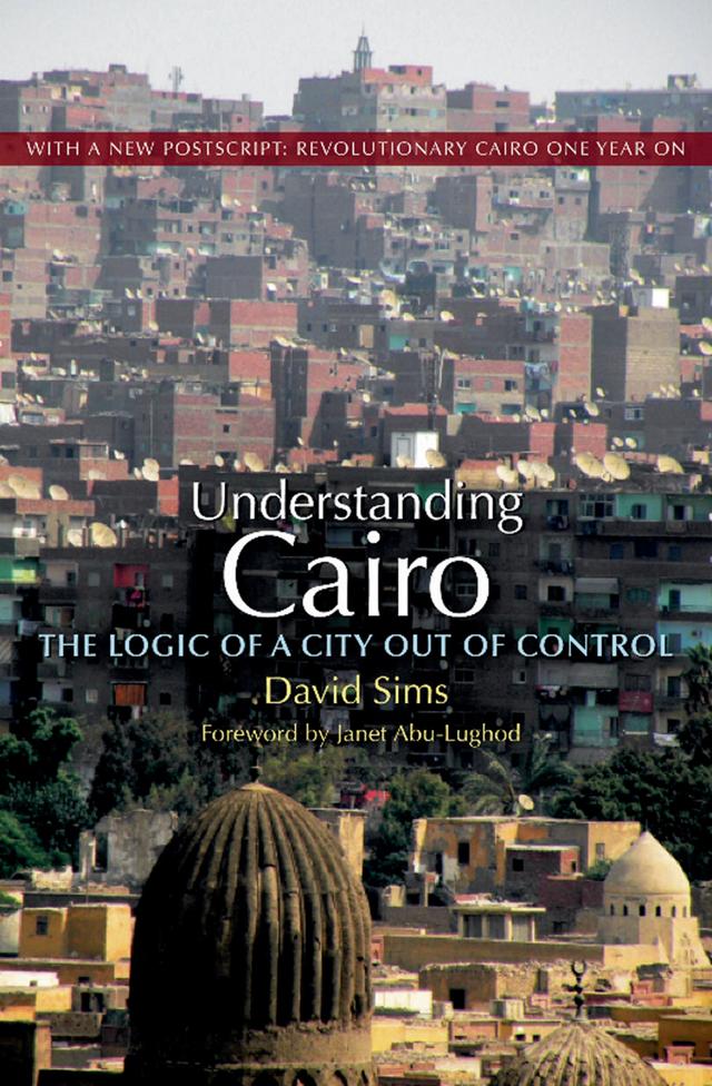 Understanding Cairo by David Sims