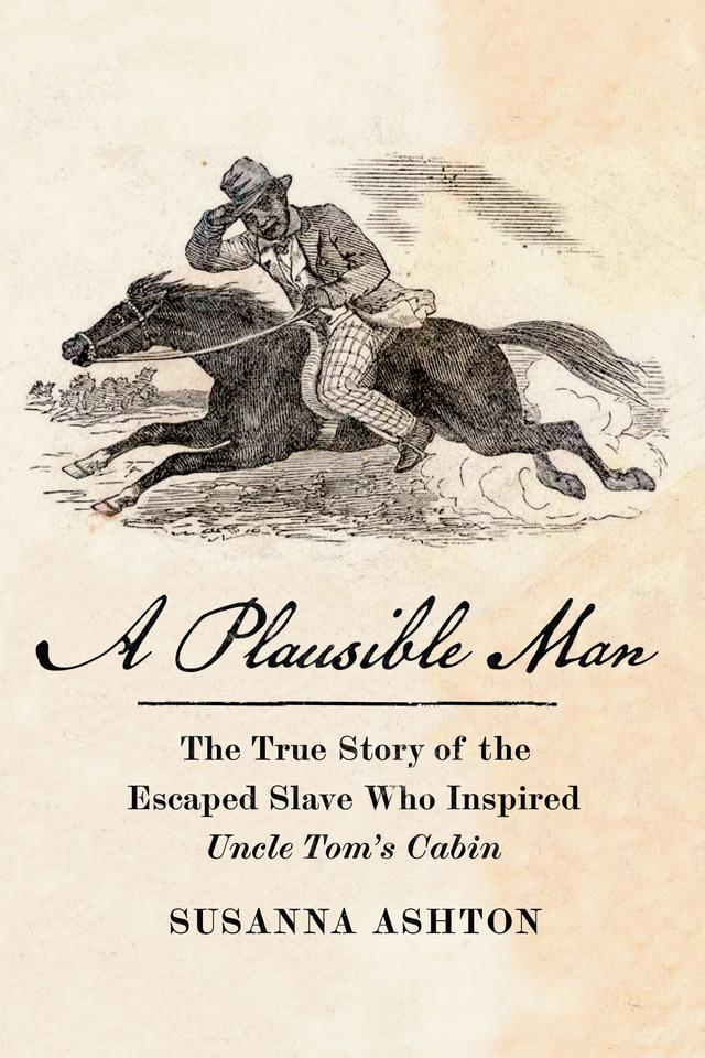 A Plausible Man by Susanna Ashton