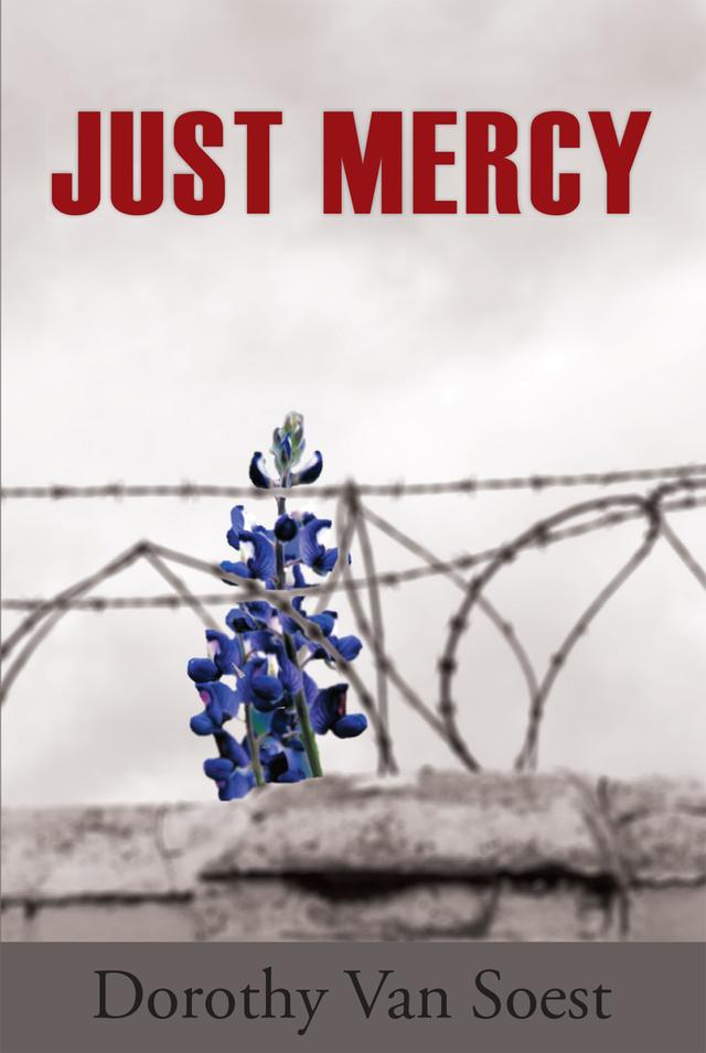 Just Mercy by Dorothy Van Soest
