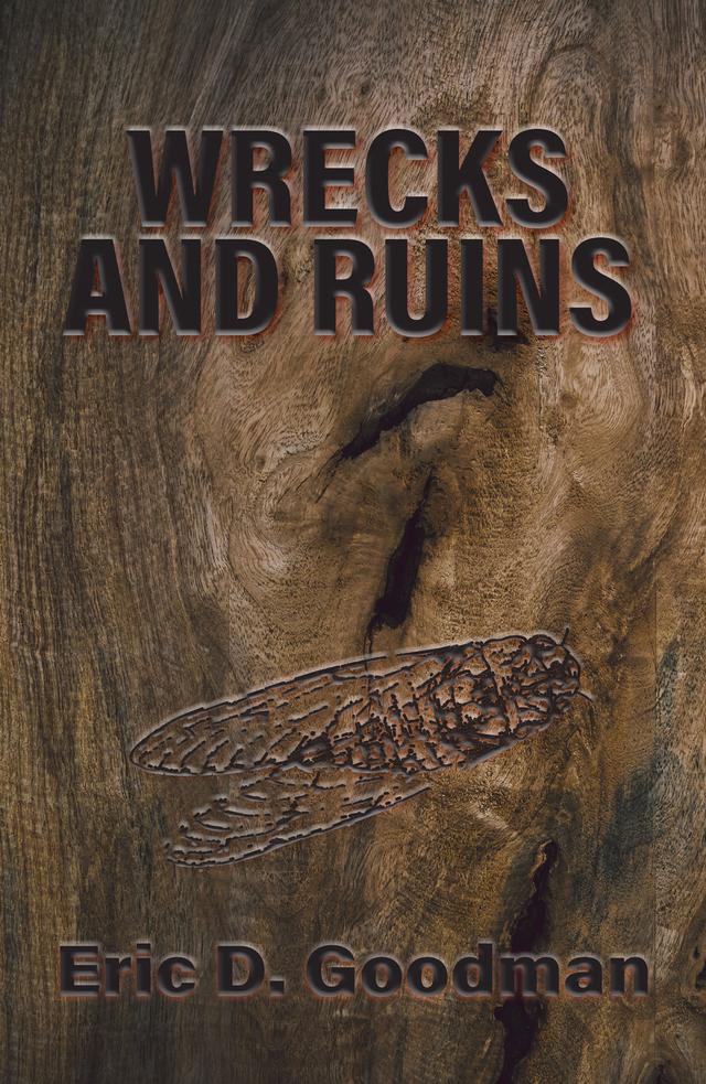 Wrecks & Ruins by Eric D. Goodman
