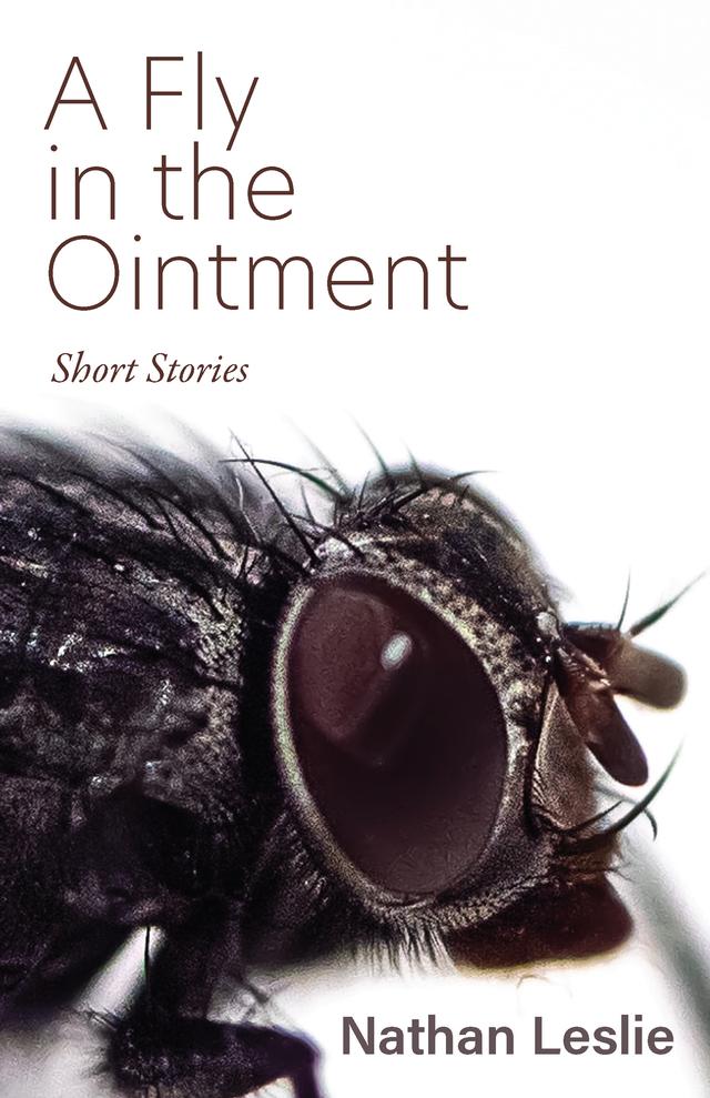 A Fly in the Ointment by Nathan Leslie