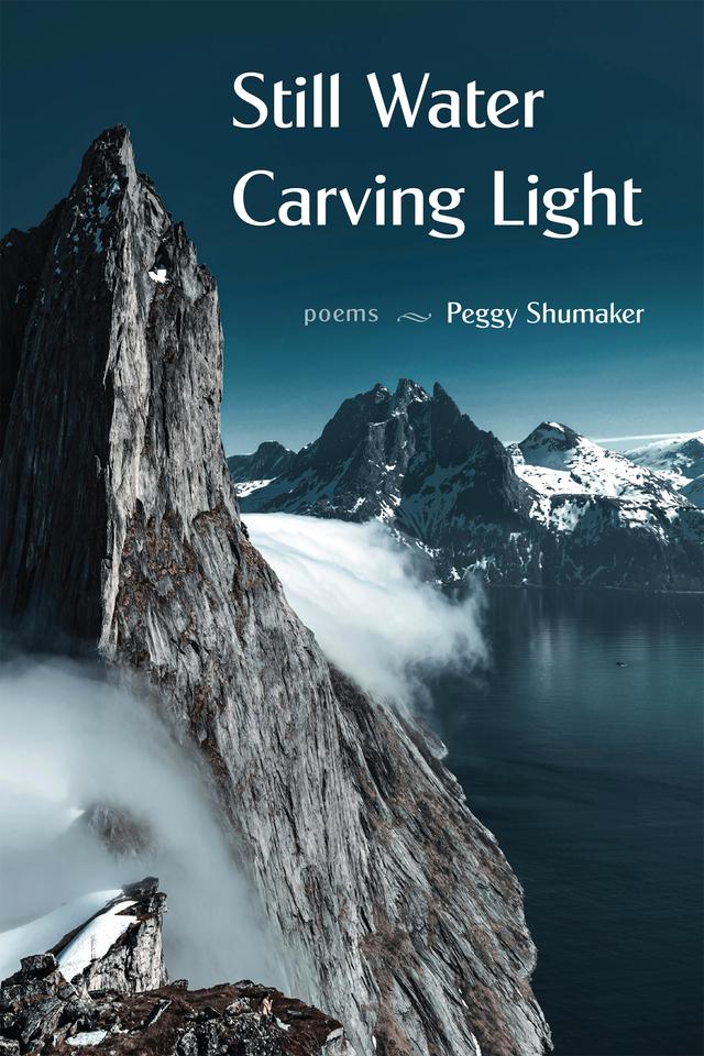 Still Water Carving Light by Peggy Shumaker