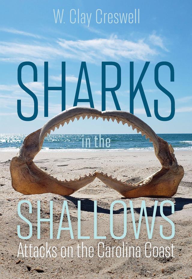 Sharks in the Shallows by Marie Levine, W. Clay Creswell