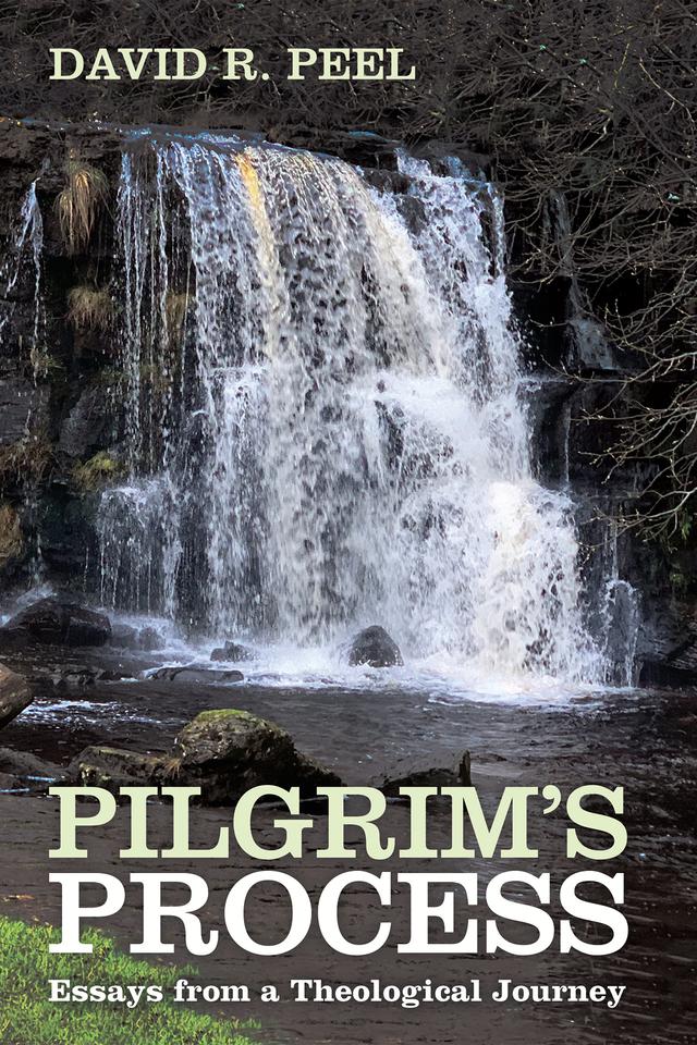 Pilgrim’s Process by David R. Peel