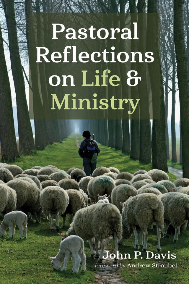 Pastoral Reflections on Life and Ministry by Andrew Straubel, John P. Davis
