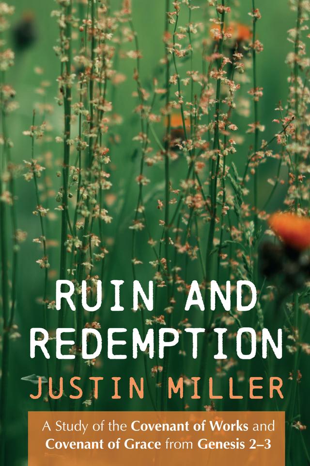 Ruin and Redemption by Justin Miller