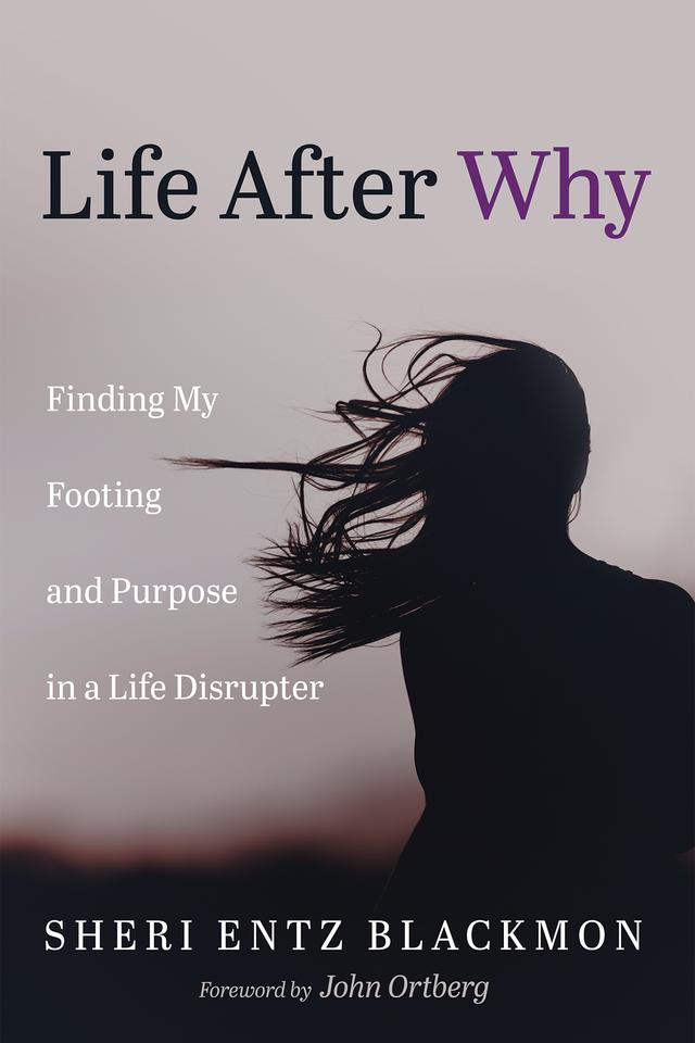 Life After Why by John Ortberg, Sheri Entz Blackmon